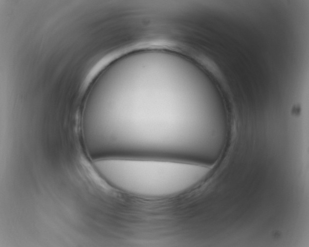 X0000113531420200909180949
