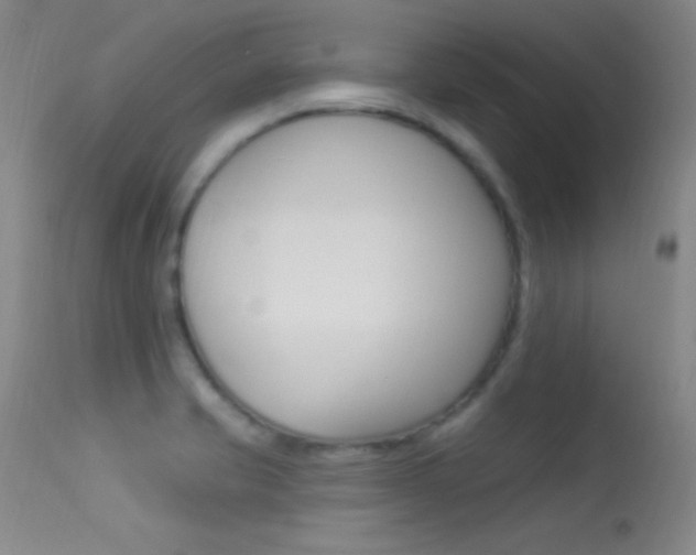 X0000113531421200909180949