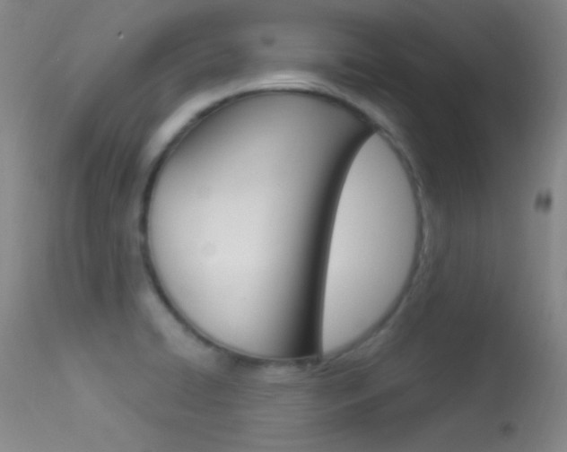 X0000113531422200909180949