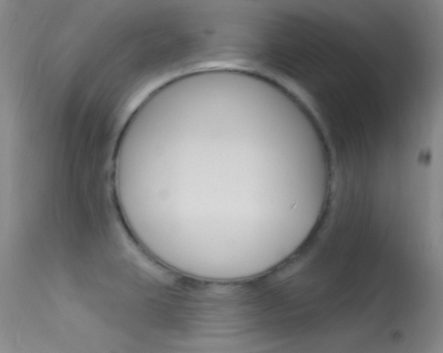 X0000113531423200909180949
