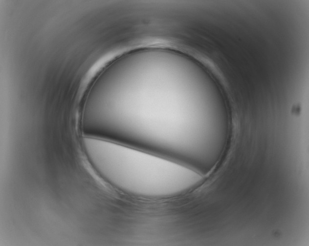 X0000113531424200909180949