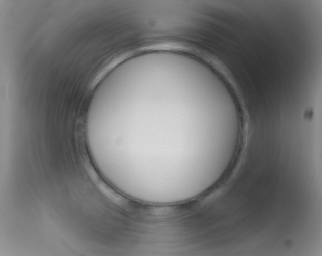 X0000113531425200909180950