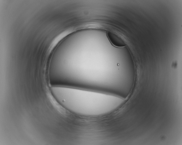 X0000113531426200909180950