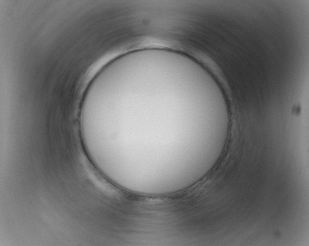 X0000113531427200909180950