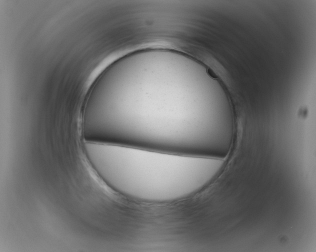 X0000113531428200909180950