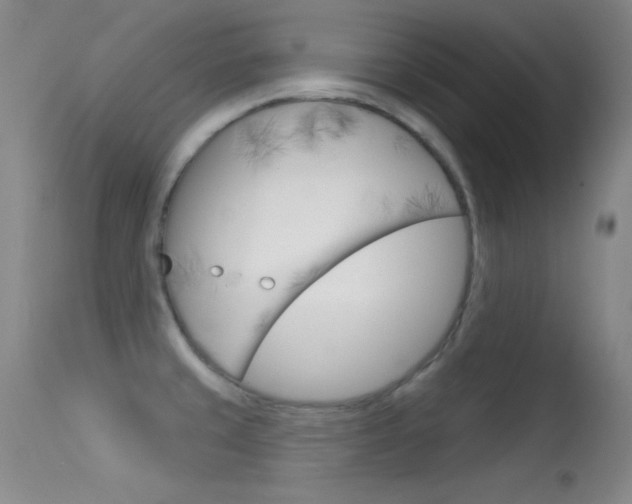 X0000113531429200909180950