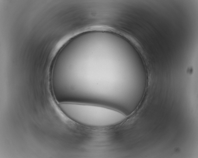 X0000113531430200909180950