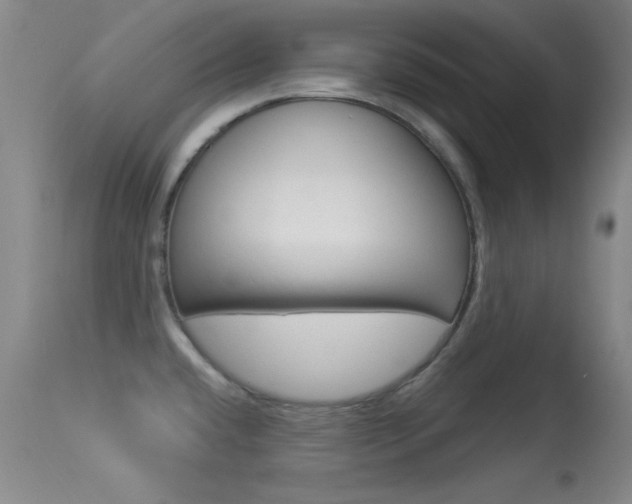 X0000113531432200909180950