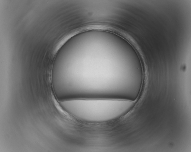 X0000113531433200909180950