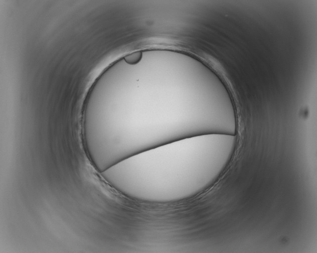 X0000113531435200909180950