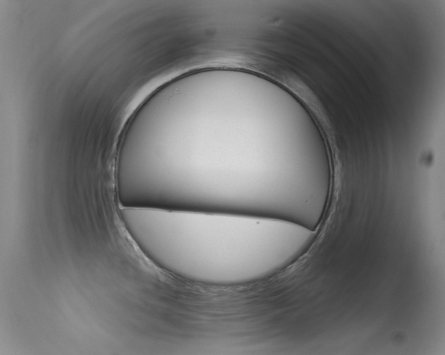 X0000113531436200909180950