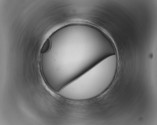 X0000113531437200909180950