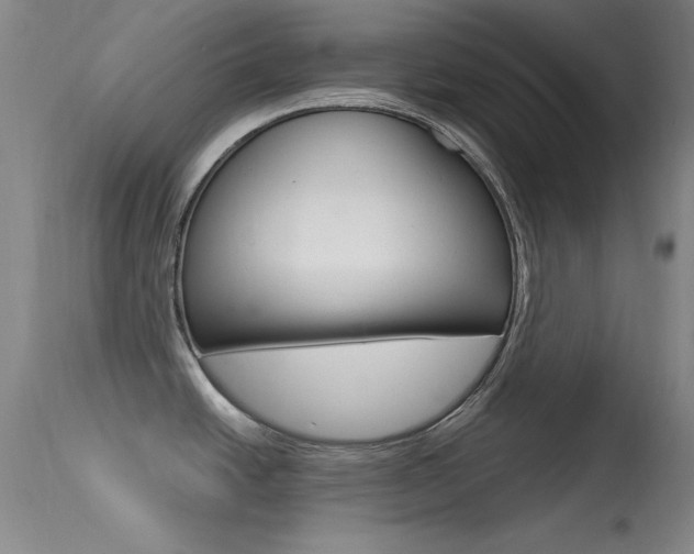 X0000113531438200909180950