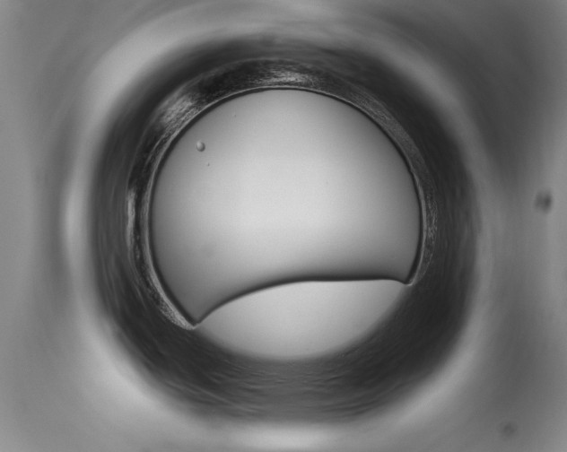 X0000113531439200909180950