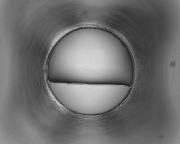X0000113531440200909180950