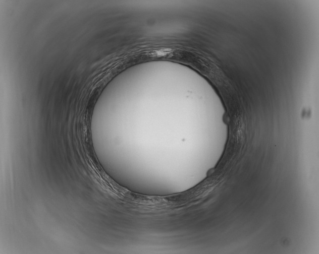 X0000113531442200909180949