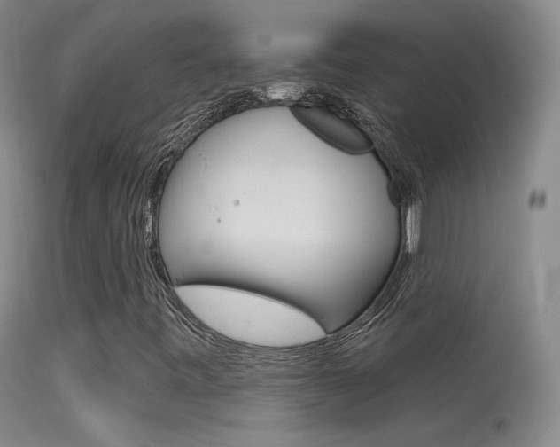 X0000113531443200909180949
