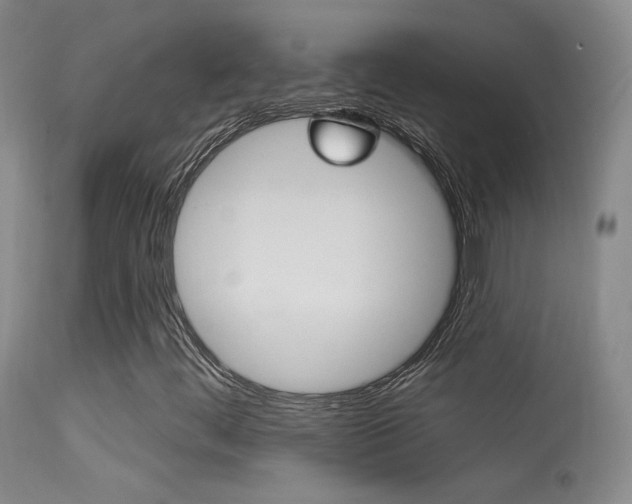 X0000113531444200909180949