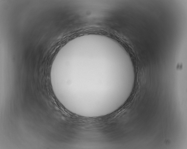 X0000113531445200909180949