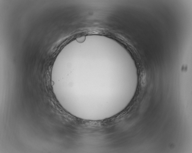 X0000113531446200909180949