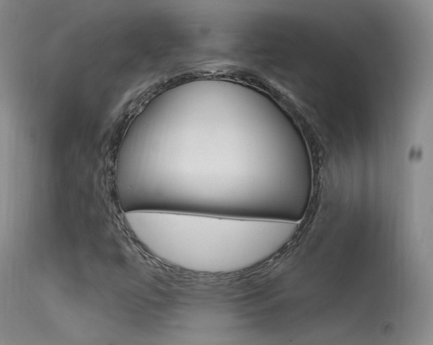 X0000113531447200909180949