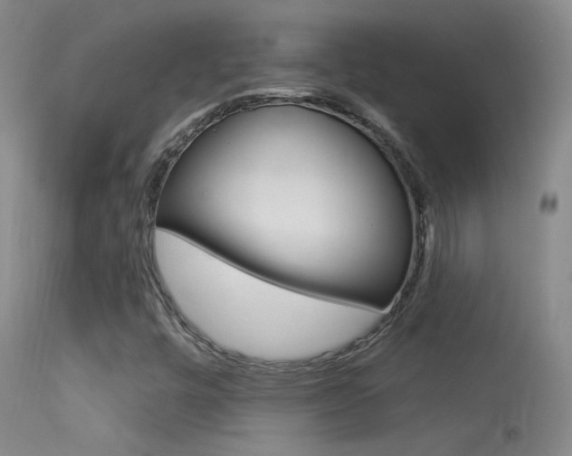 X0000113531448200909180949