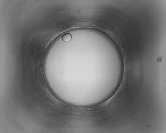 X0000113531449200909180949