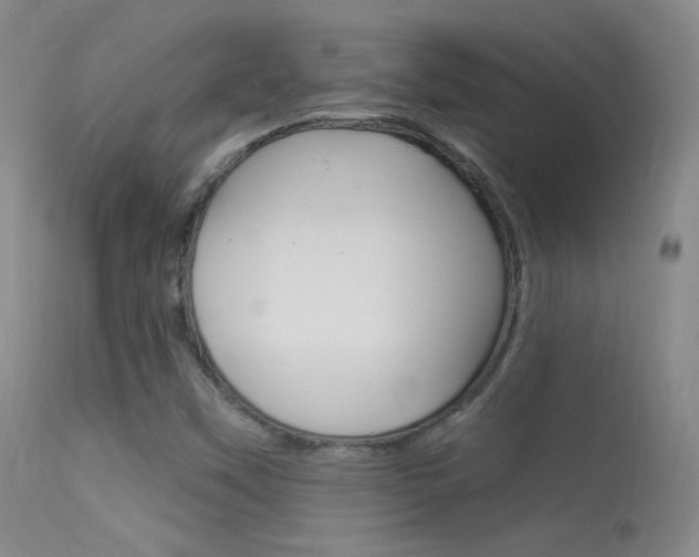 X0000113531451200909180949