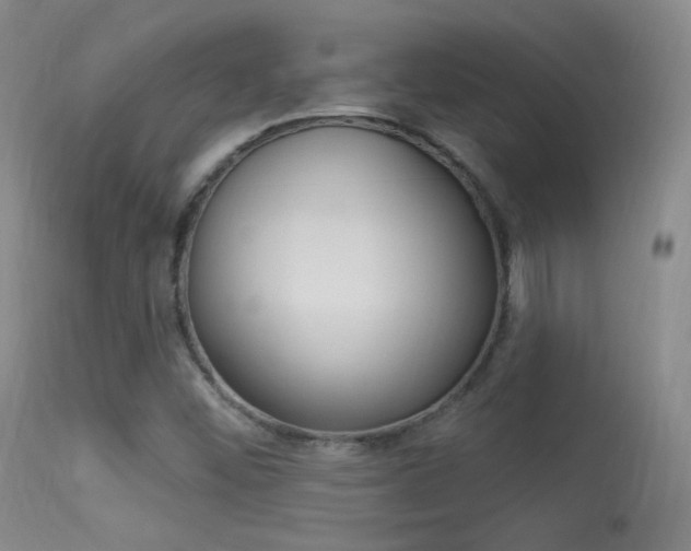 X0000113531452200909180949