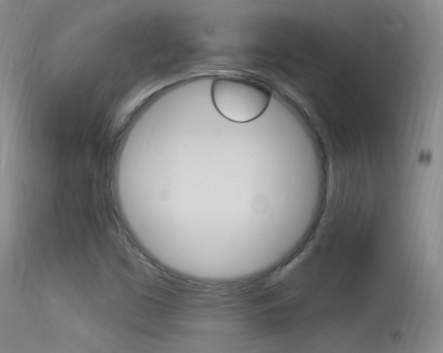 X0000113531453200909180949