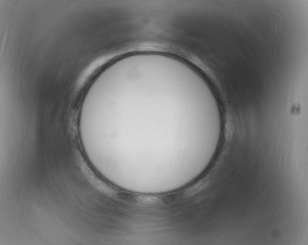 X0000113531454200909180949