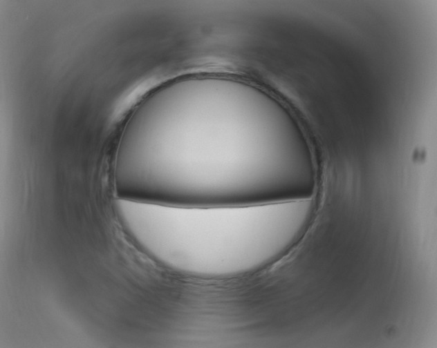 X0000113531455200909180949