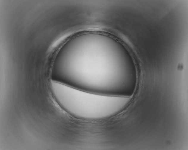 X0000113531456200909180949