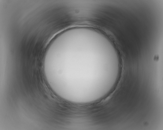 X0000113531457200909180949