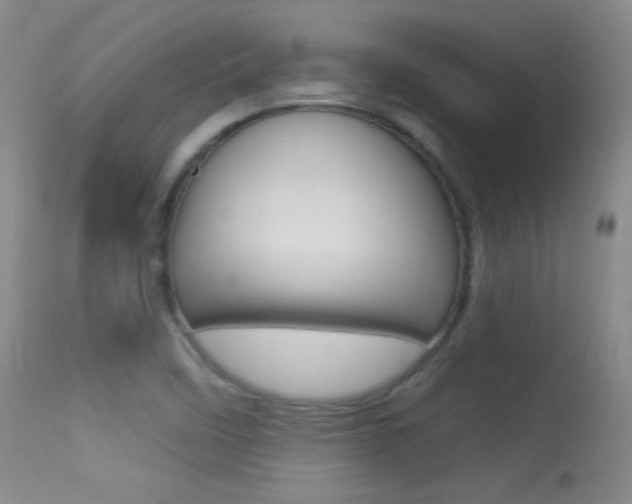 X0000113531458200909180949