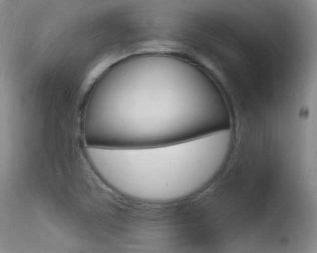 X0000113531459200909180949