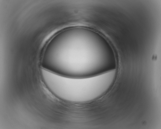 X0000113531460200909180949