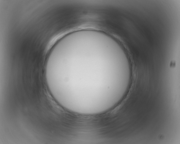 X0000113531461200909180949