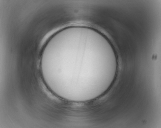X0000113531462200909180949