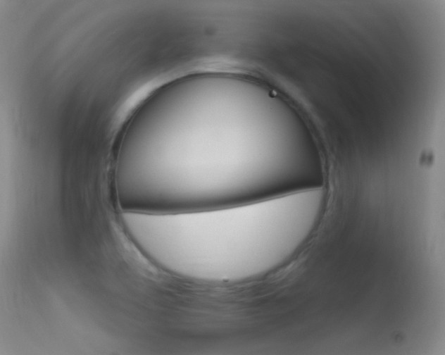 X0000113531463200909180949