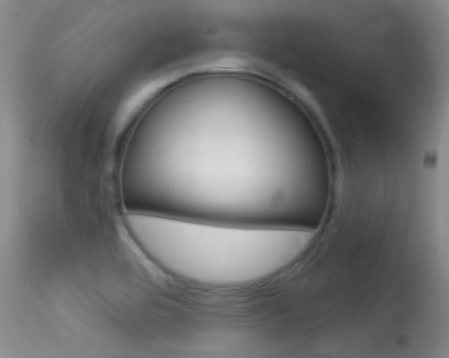 X0000113531464200909180949
