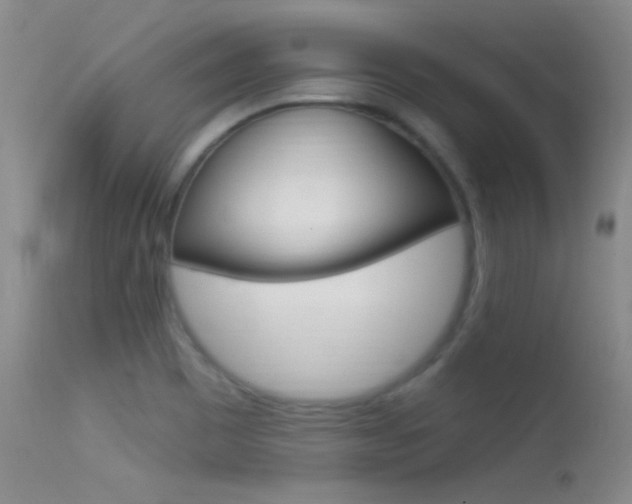 X0000113531465200909180949