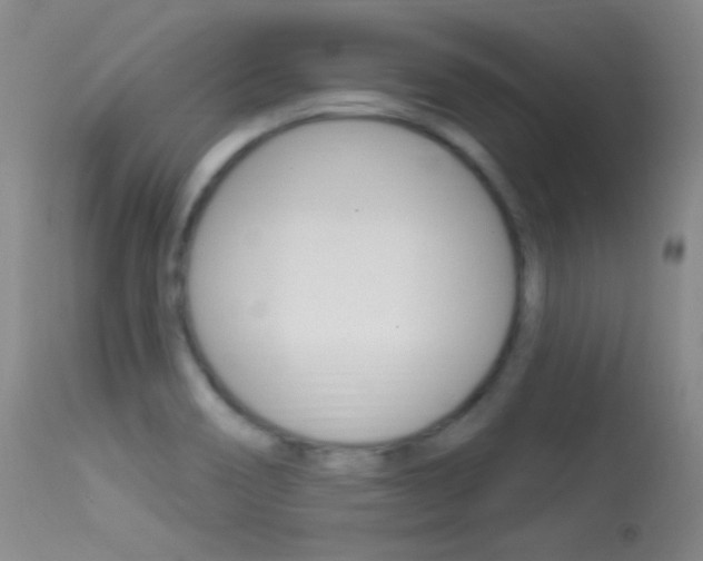 X0000113531466200909180949
