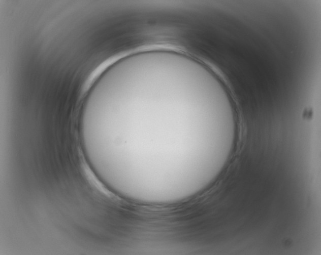 X0000113531468200909180949