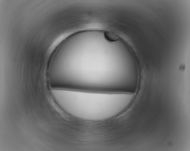 X0000113531469200909180948