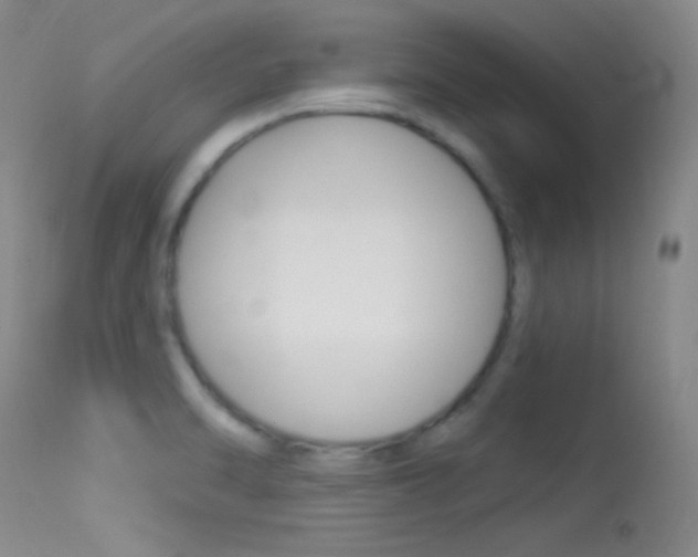 X0000113531470200909180948