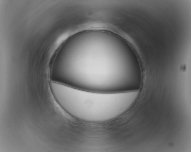 X0000113531472200909180948