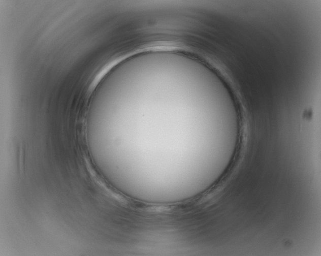 X0000113531473200909180948