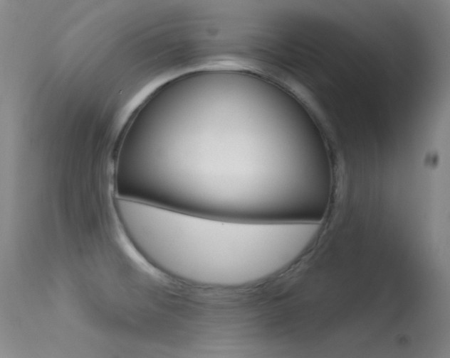 X0000113531476200909180948