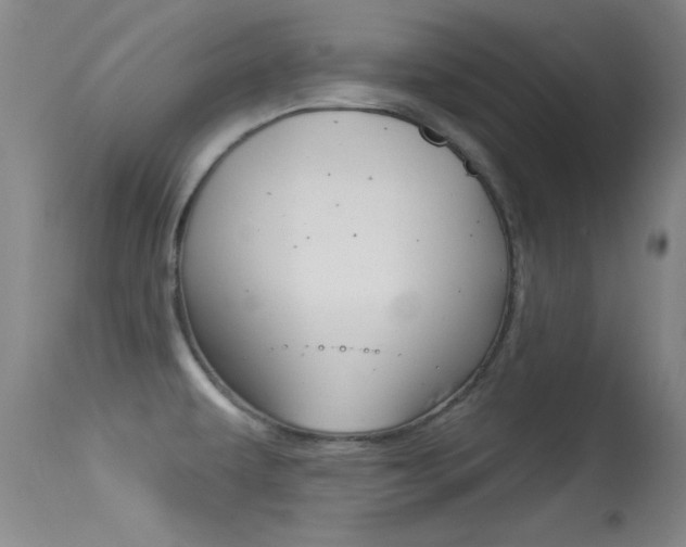 X0000113531479200909180948
